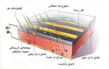 سلول خورشیدی چگونه کار میکند؟